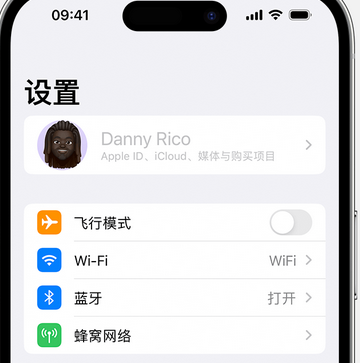 新密appleID维修服务iPhone设置中Apple ID显示为灰色无法使用