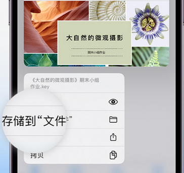 新密apple维修中心分享iPhone文件应用中存储和找到下载文件