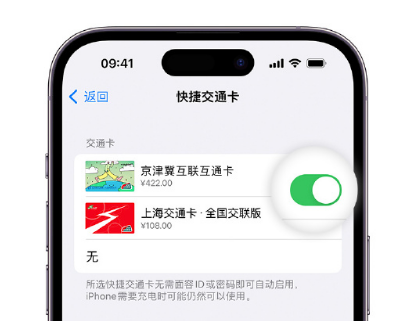 新密apple维修点分享iPhone上更换Apple Pay快捷交通卡手绘卡面 