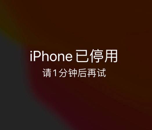 新密苹果手机维修分享:iPhone 显示“不可用”或“已停用”怎么办？还能保留数据吗？ 