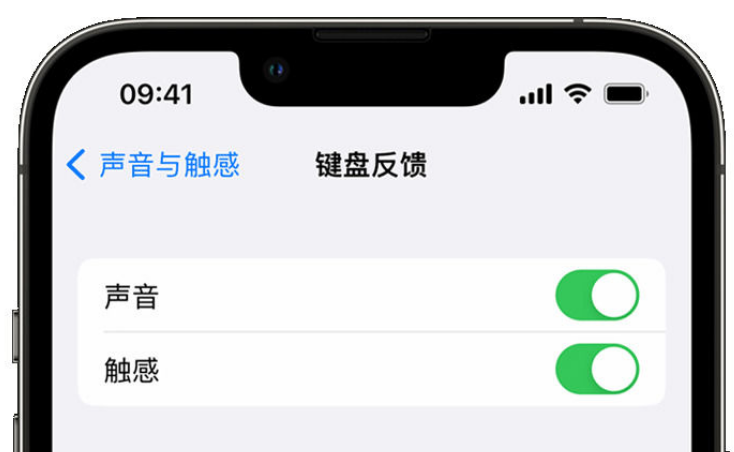 新密苹果手机维修分享iPhone 14触感键盘使用方法 