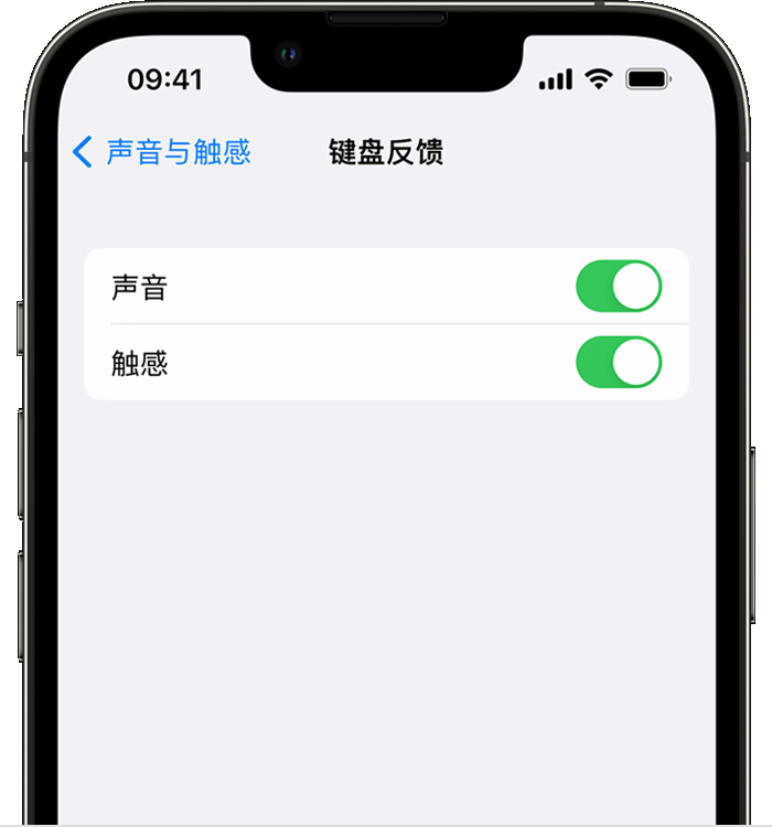 新密苹果14维修店分享如何在 iPhone 14 机型中使用触感键盘 