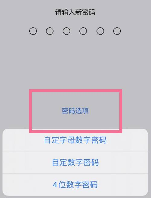 新密苹果14维修分享iPhone 14plus设置密码的方法 