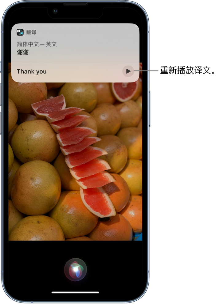 新密苹果14维修分享 iPhone 14 机型中使用 Siri：了解 Siri 能帮你做什么 