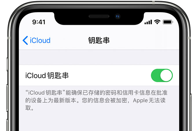 新密苹果手机维修分享在 iPhone 上开启 iCloud 钥匙串之后会储存哪些信息 