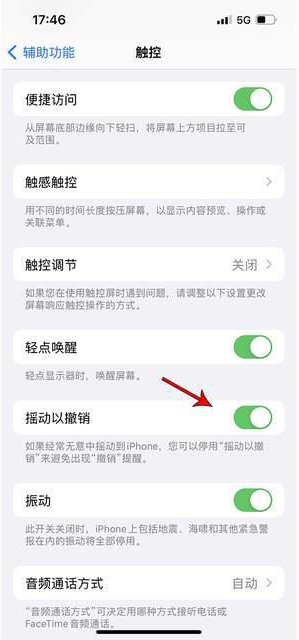 新密苹果手机维修分享iPhone手机如何设置摇一摇删除文字 